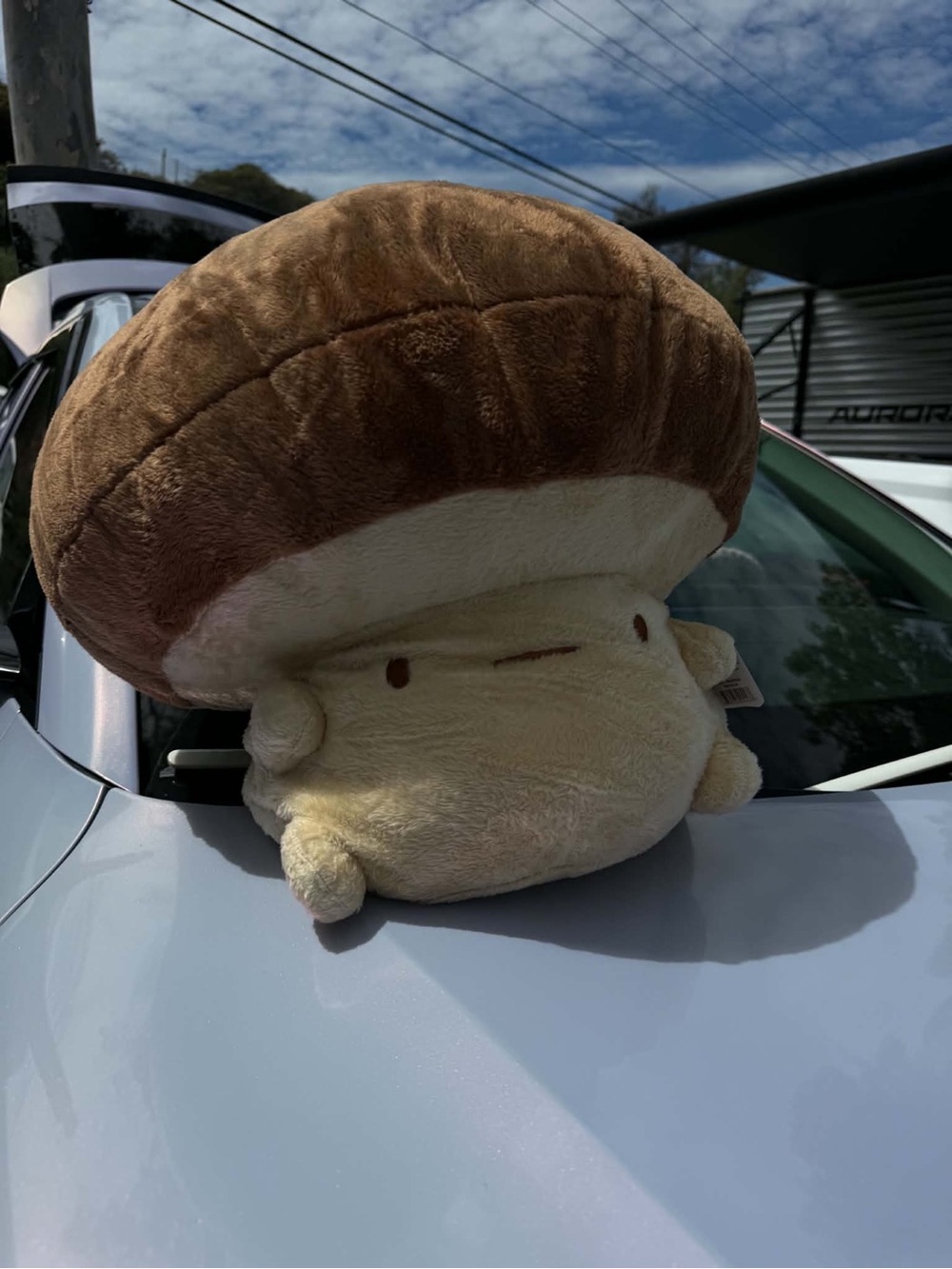 Fluffnest Gus the Shiiitake Mushroom 18” Mega Plush SEALED Discontinued Plushie